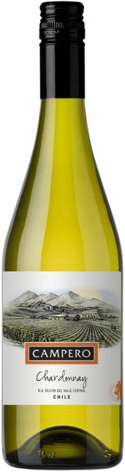 CAMPERO CHARDONNAY - 1