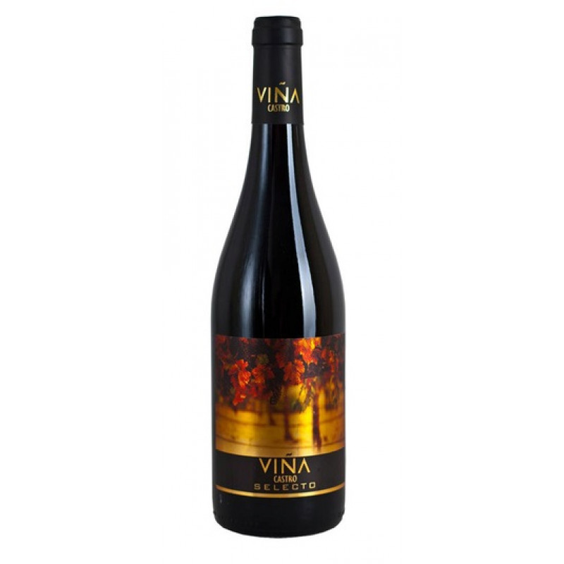 VINA CASTRO TEMPRANILLO SYRAH фото