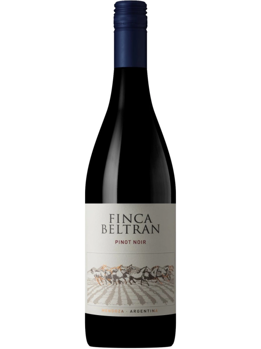 FINCA BELTRAN PINOT NOIR 2023