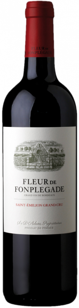 FLEUR DE FONPLEGADE  SAINT-EMILION GRAND CRU 2020 - 1