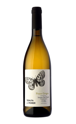 PINOT GRIGIO TENUTA DEL MORER - 1