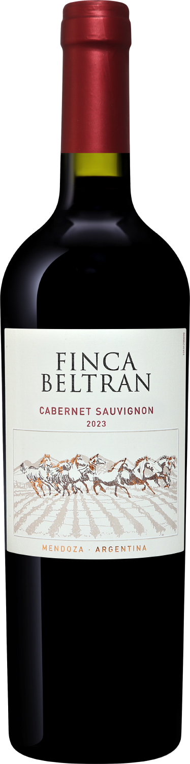 FINCA BELTRAN CABERNET SAUVIGNON 2023 - 1