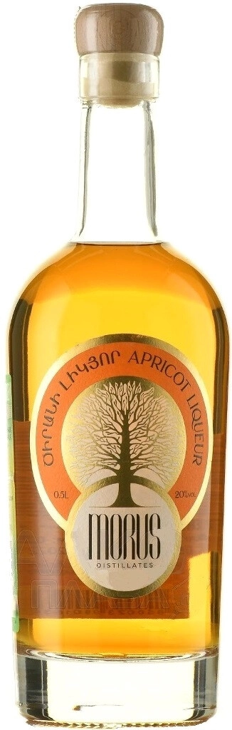 MORUS APRICOT LIQUEUR - 1