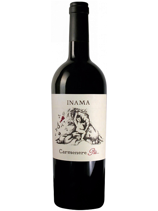 INAMA CARMENERE PIU VENETO 2015 фото - 1