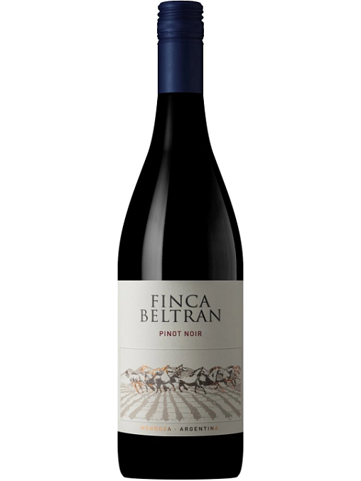 FINCA BELTRAN PINOT NOIR 2023 - 1